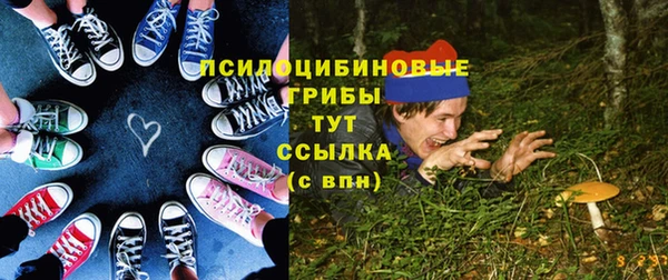 PSILOCYBIN Алапаевск