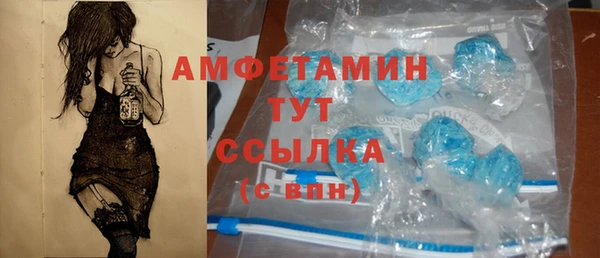 индика Надым