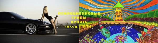 индика Надым