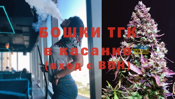 индика Надым