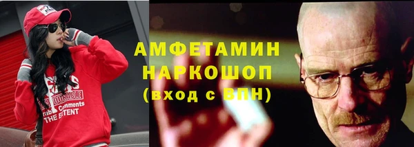 индика Надым