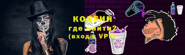 индика Надым
