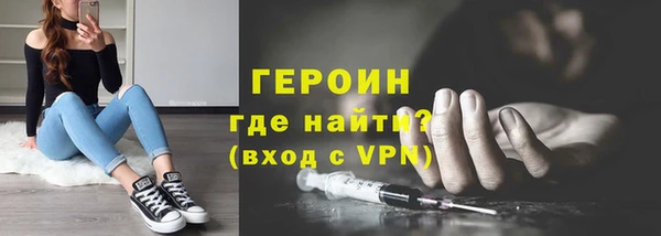 индика Надым