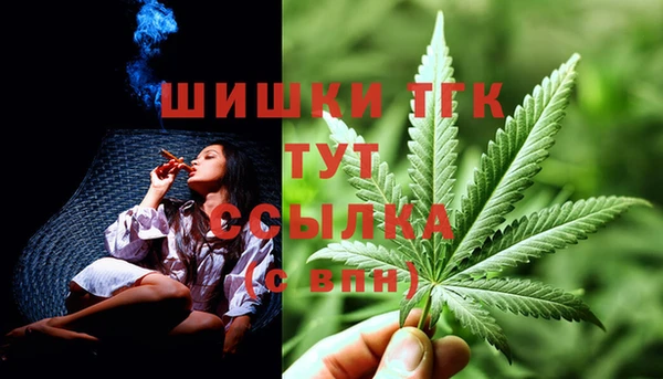 индика Навашино
