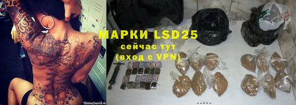индика Надым
