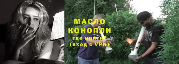 индика Надым