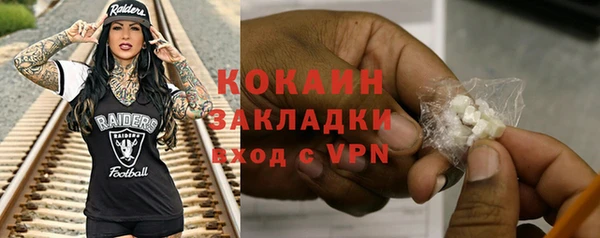индика Надым