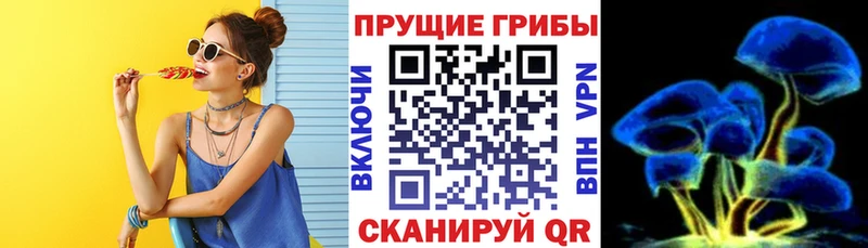 Псилоцибиновые грибы MAGIC MUSHROOMS  закладки  Комсомольск-на-Амуре 