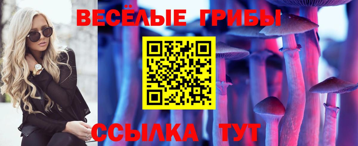Псилоцибиновые грибы ЛСД Комсомольск-на-Амуре