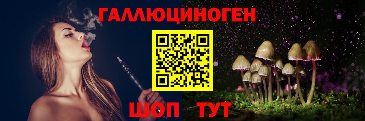 Комсомольск-на-Амуре  Псилоцибиновые грибы мухоморы  Вход с VPN  Галлюциногенные грибы Psilocybe 